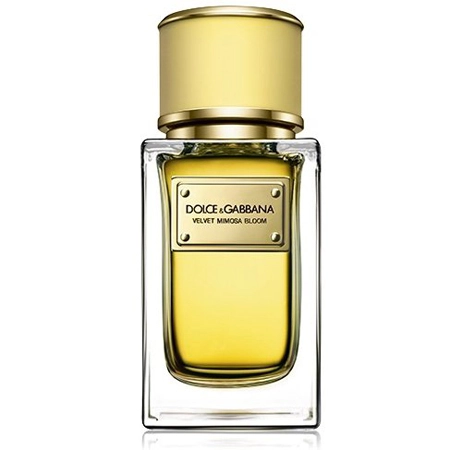 DOLCE & GABBANA VELVET Mimosa bloom