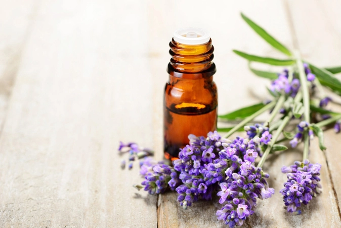 lavanda