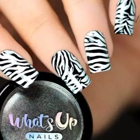 zebra print zebra print