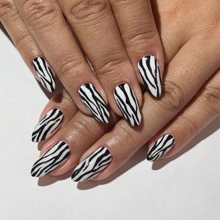 print zebre