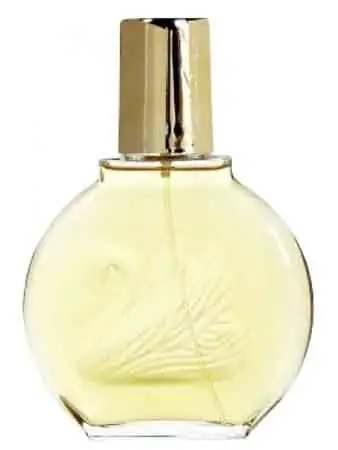  Vanderbilt by Gloria Vanderbilt