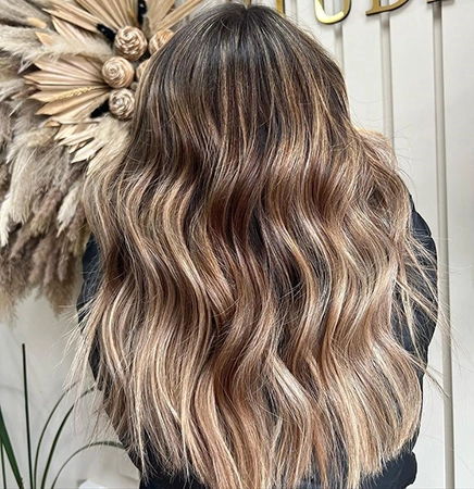  biskvit bronde