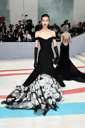  Liu Wen