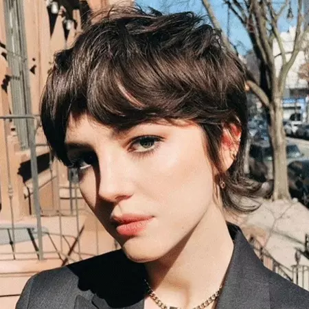  bixie