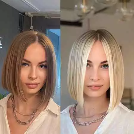  ravni bob